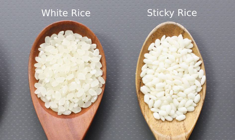 Difference in appearance between white rice and sticky rice