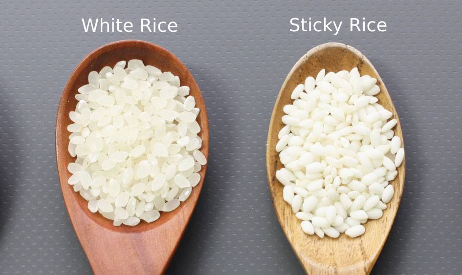 Sticky Rice Sushi Rice Similarities Differences, 48% OFF