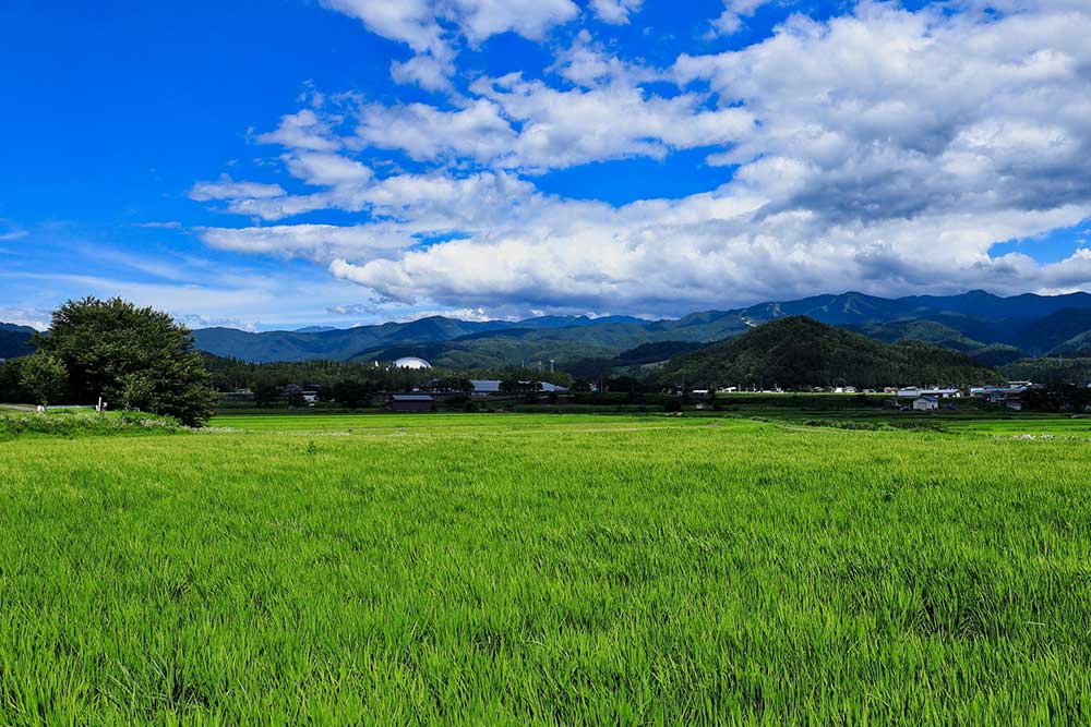 福井県の田園風景